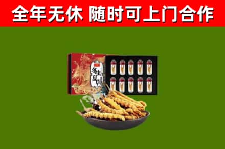 板芙镇回收冬虫夏草价格