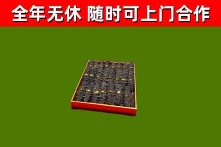 板芙镇回收海参